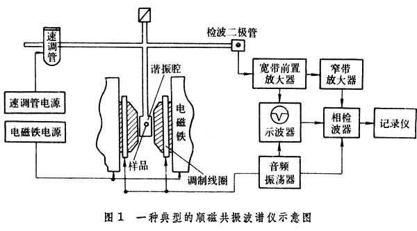 电子顺磁共振