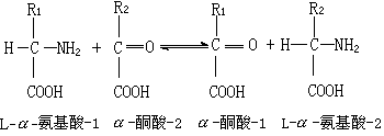 转氨酶