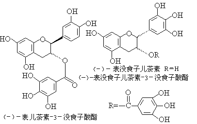 儿茶素结构式图片