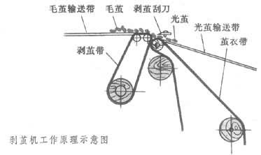 剝繭