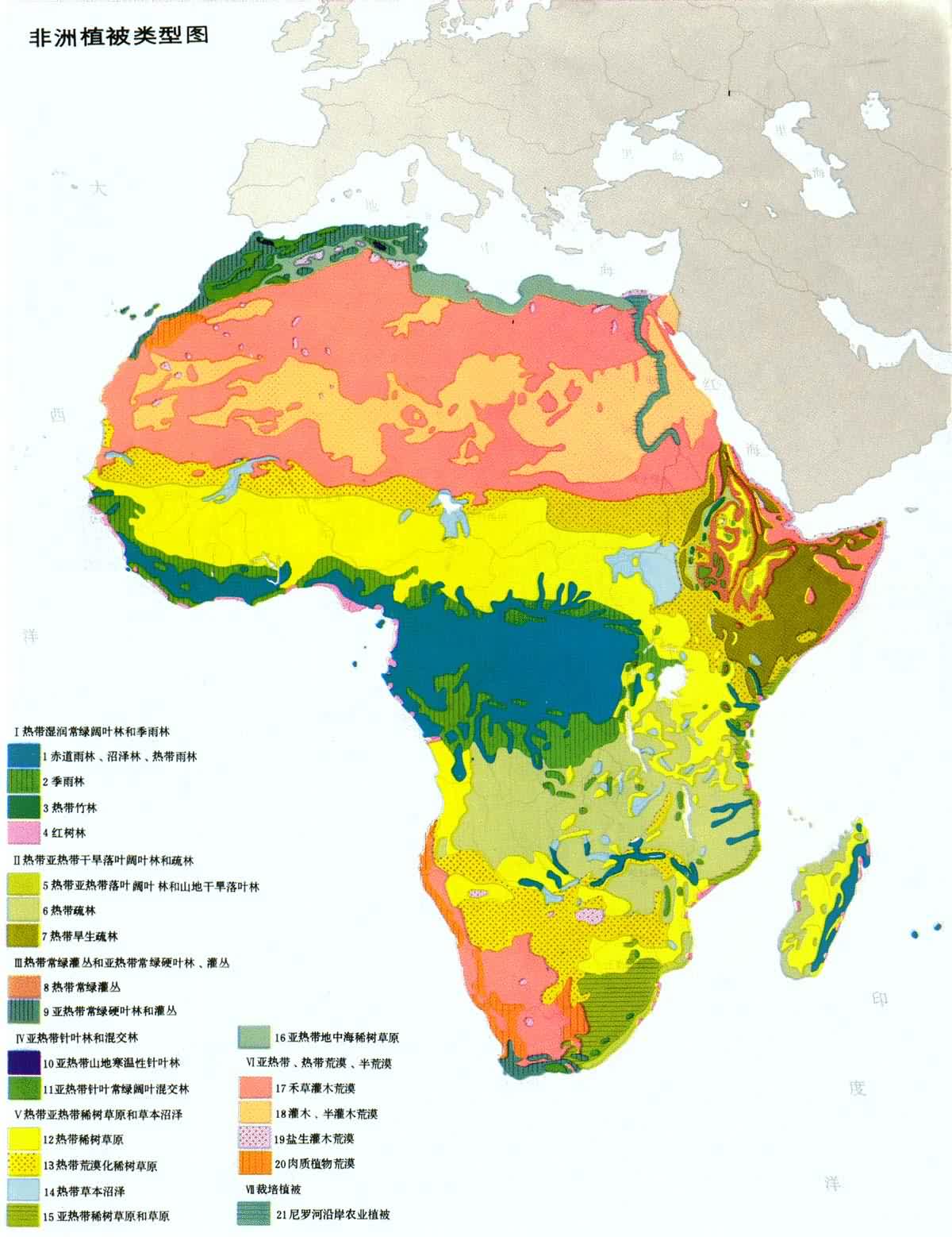 非洲植被类型图片