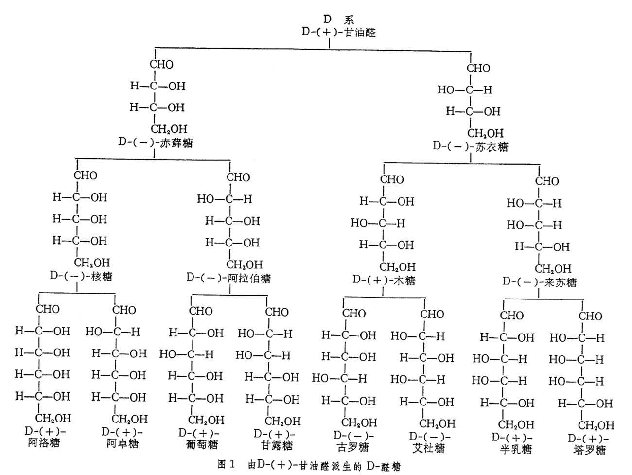 单糖