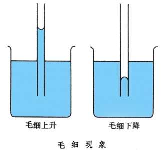 毛细现象