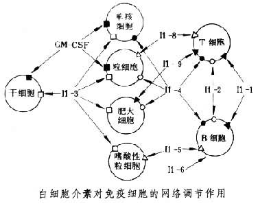 白細胞介素