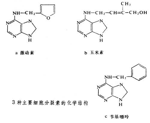 细胞分裂素