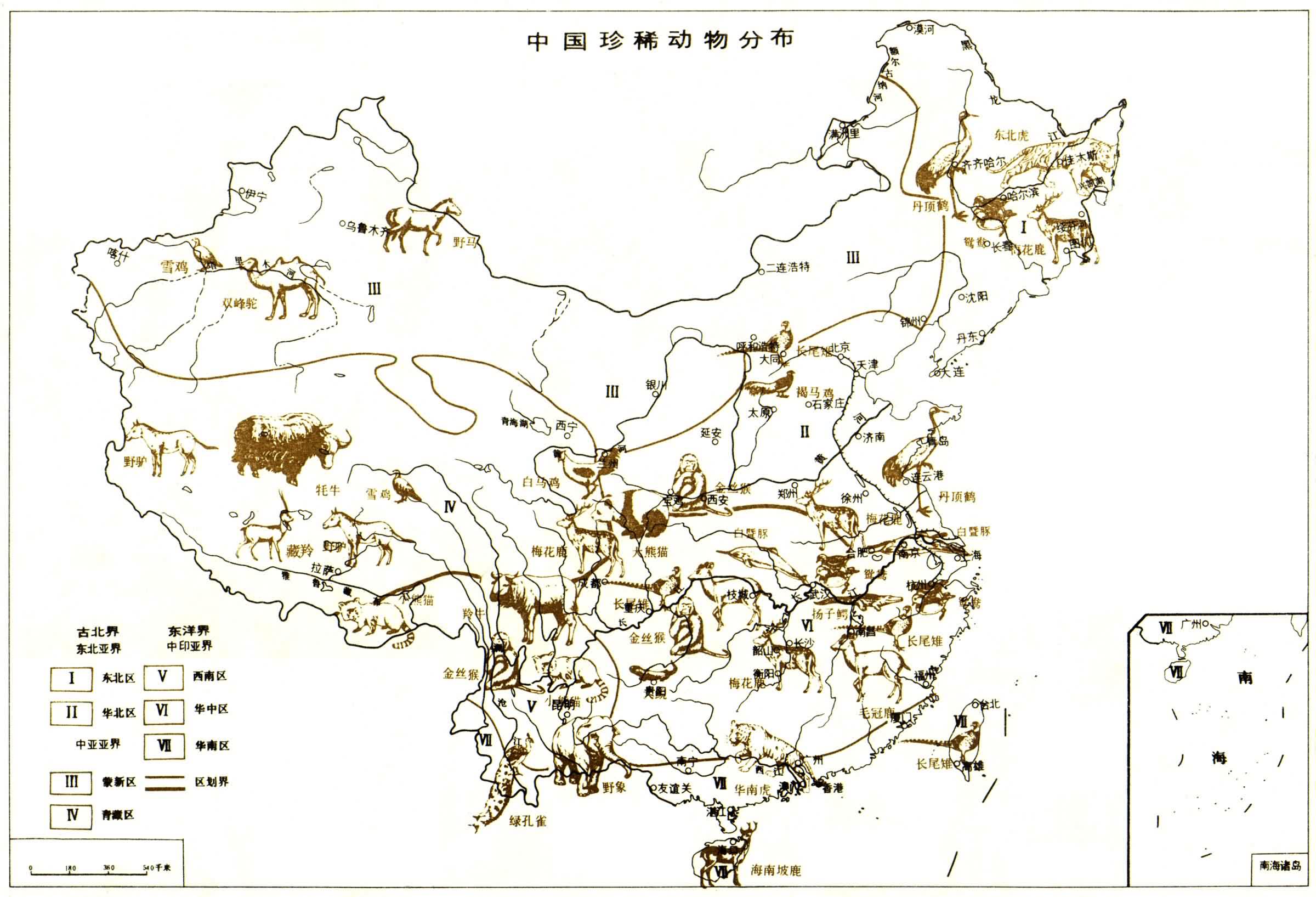 中国国土开发的历史悠久,动物的分布受人类活动的影响很大