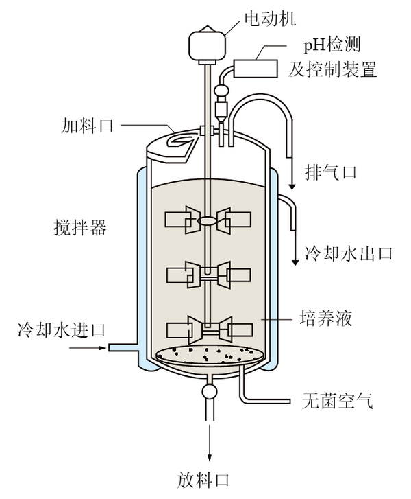 流加分批式酶反应器