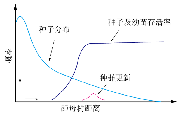 詹森-康奈尔假说