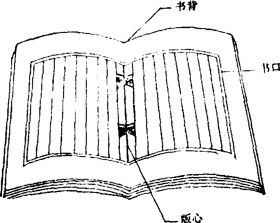 蝴蝶装订方法图解图片