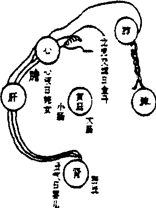 龙虎交媾