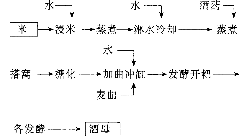 淋饭酒母