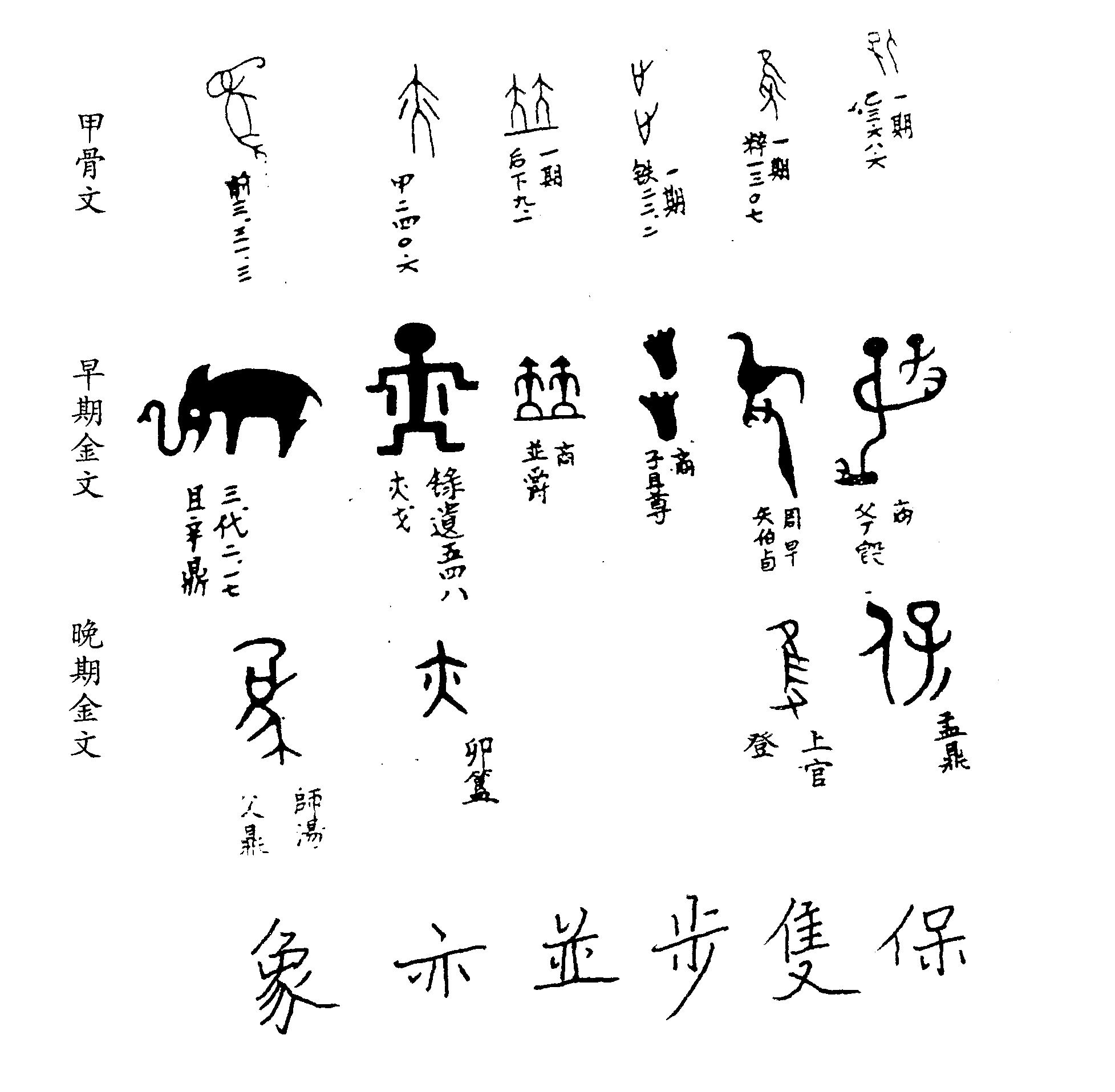 古汉字的一种字体,因铸刻在铜器而得名(周以前铜也称金)
