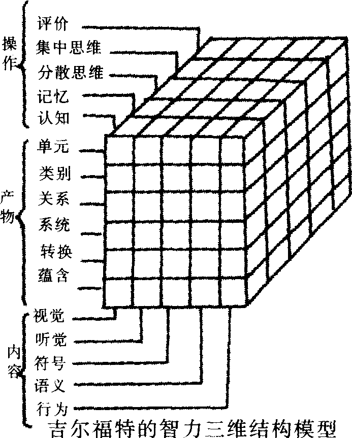 吉尔福特三维结构模型图片