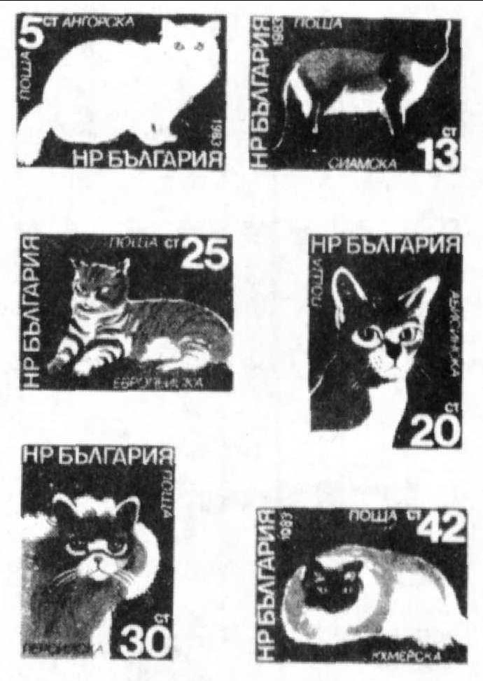 1983.9.26 猫