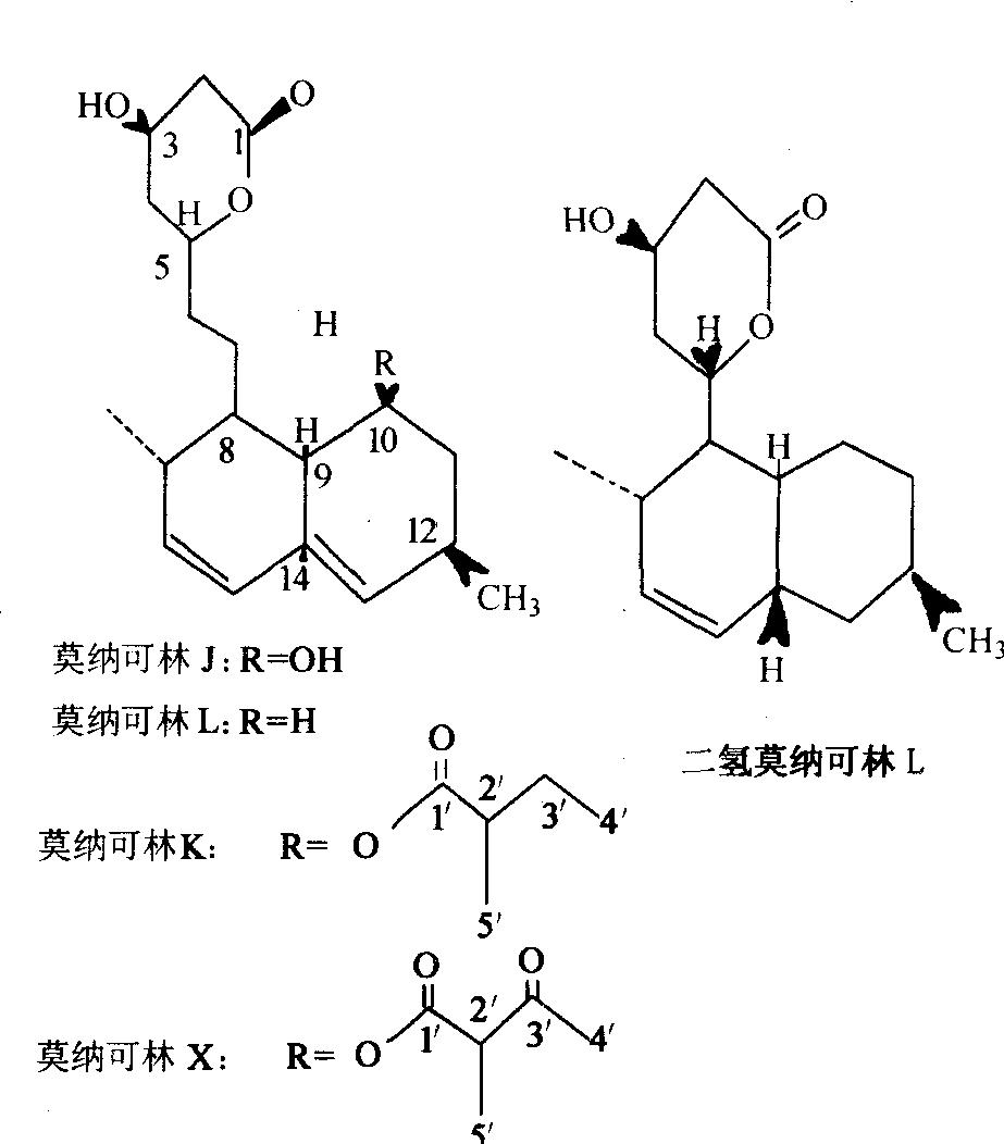 紅曲米提取物