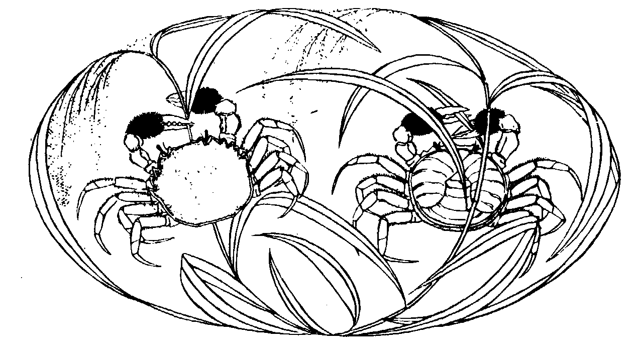 125 二甲传胪