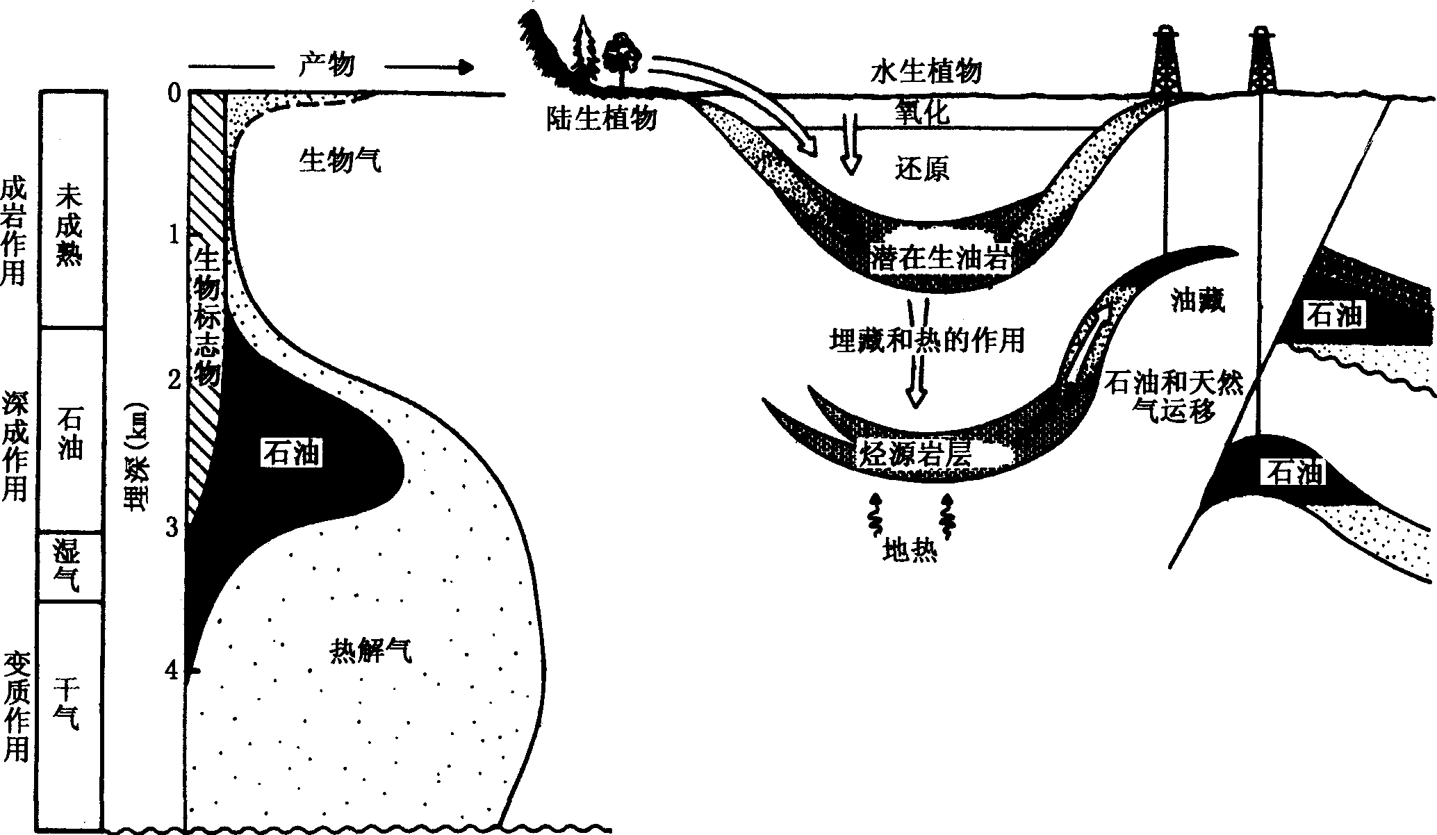 图2—8 沉积时期及沉积之后有机质综合演化图