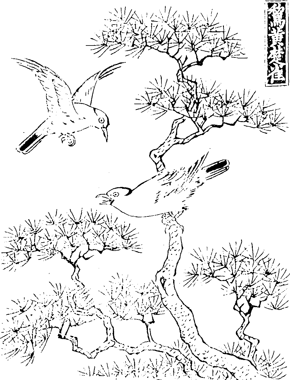 2 《尔雅》和古代的动植物分类系统