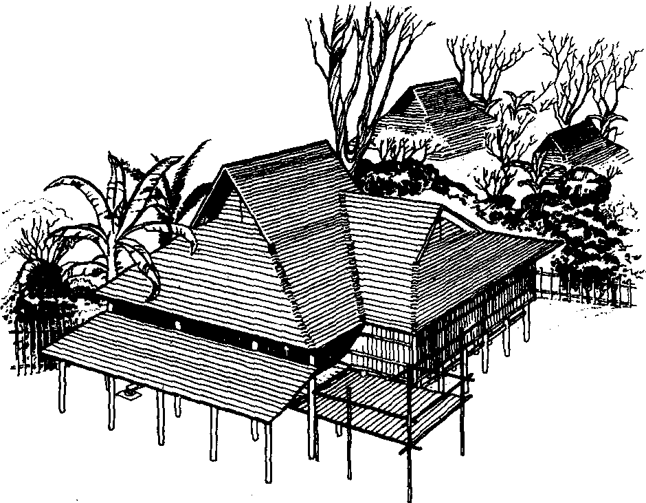 傣族竹楼速写图片