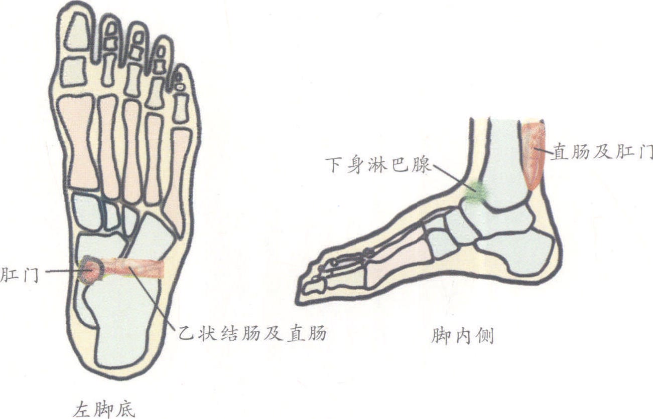 八、痔瘡