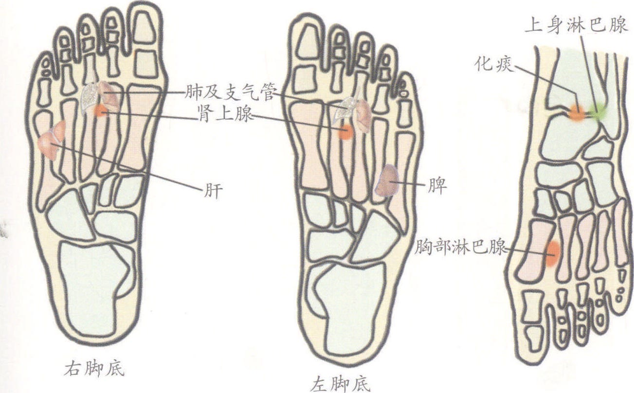 五、肺炎