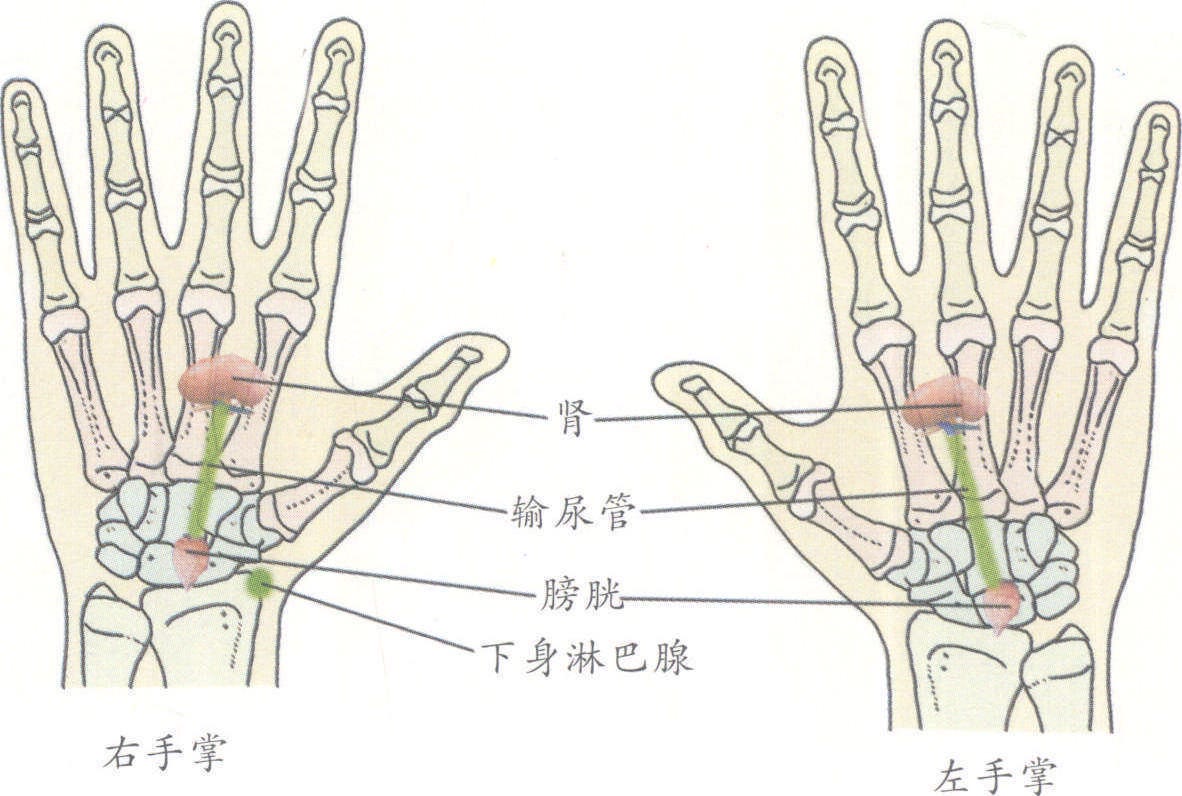 一、腎炎