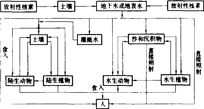 放射性核素环境转移