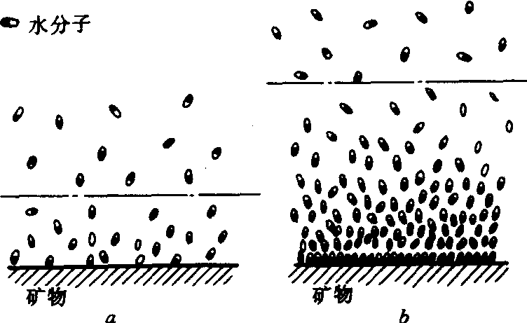 水化作用与水化膜