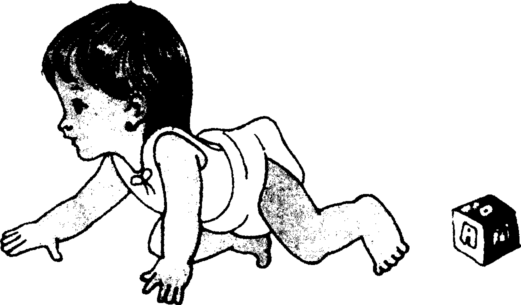 發(fā)育迅速的嬰兒期