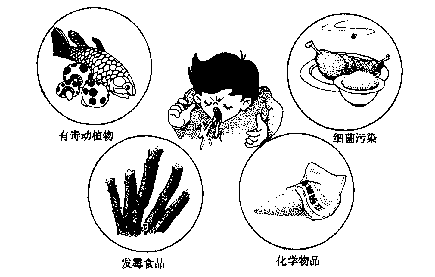 什么叫做食物中毒