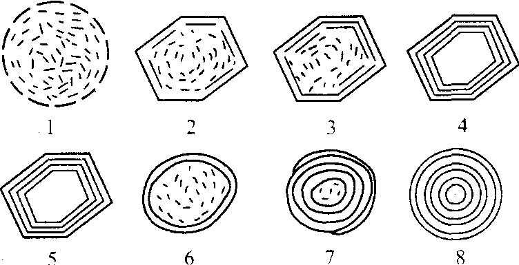 巴基葱