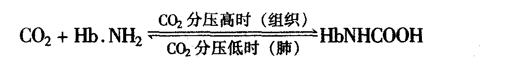 第三節(jié) 氣體在血液中的運(yùn)輸