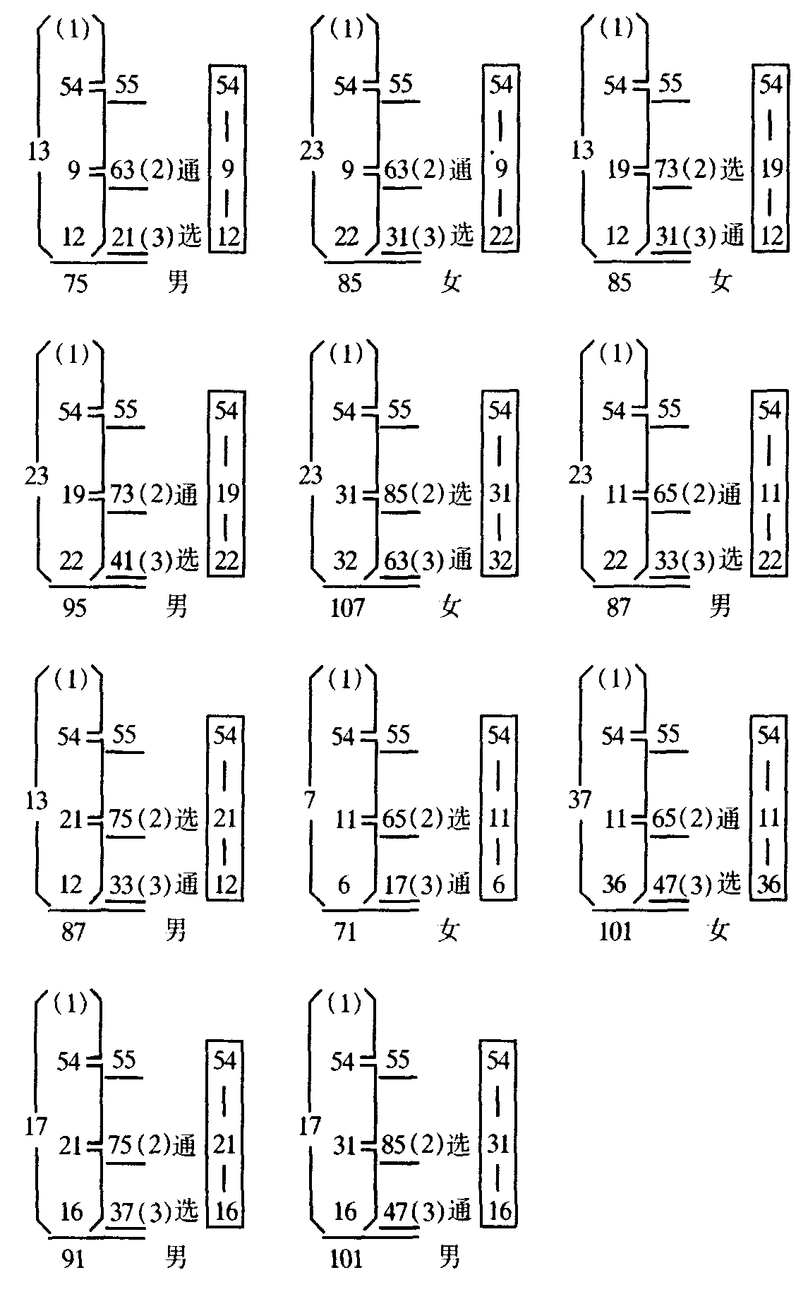 五十四画