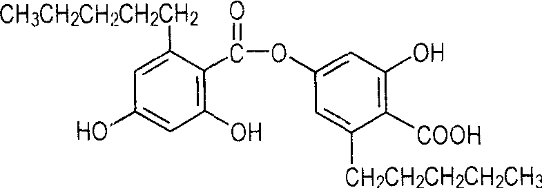 綿腹衣酸<sup>*</sup>