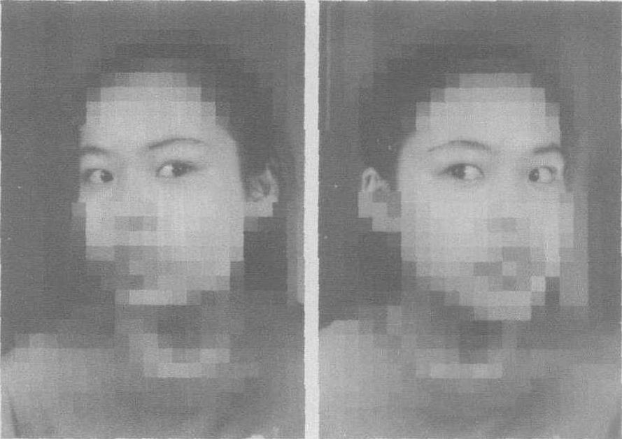五、洋娃娃頭試驗(眼頭條件反射)