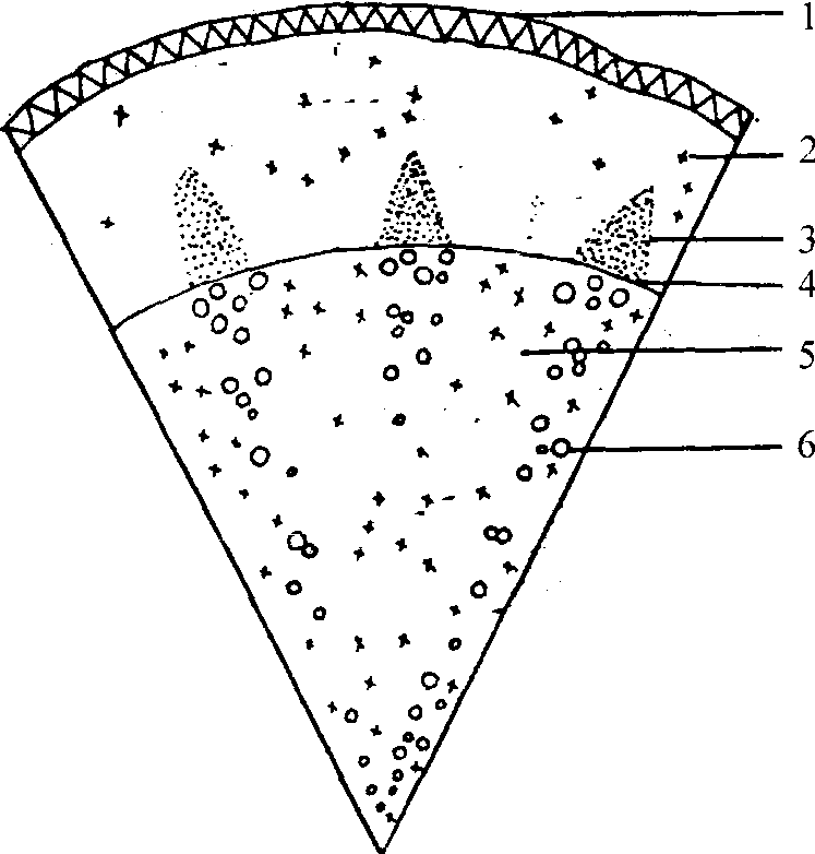 赤芍简笔画图片