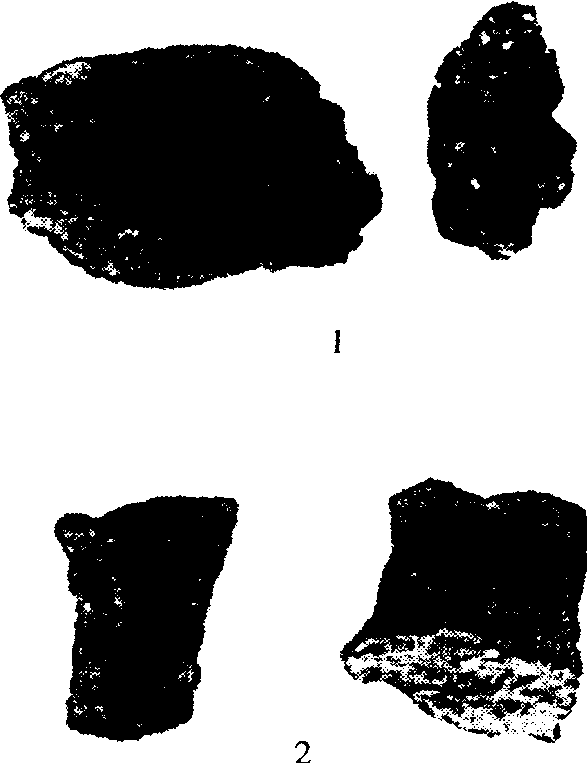 9.兒茶