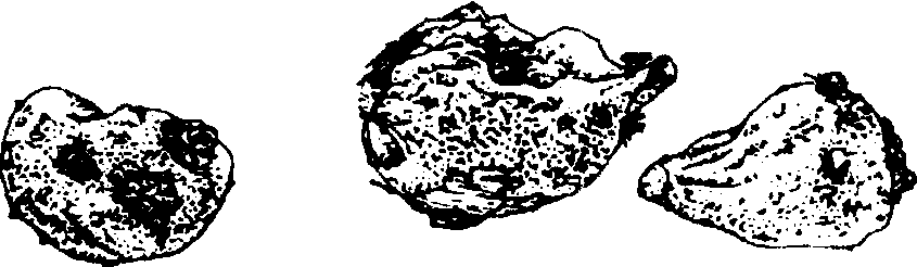 11.三棱