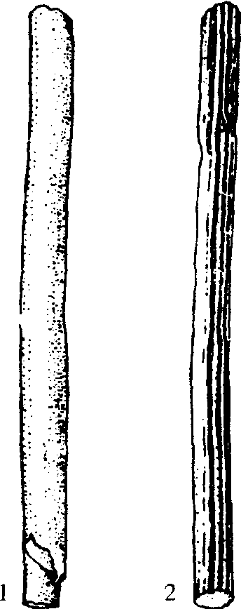 47.小通草