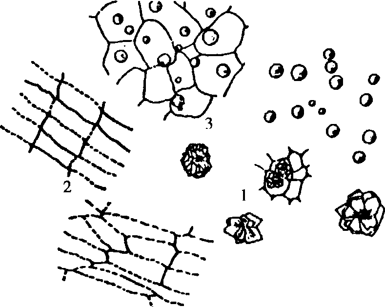 簇晶手绘图片图片