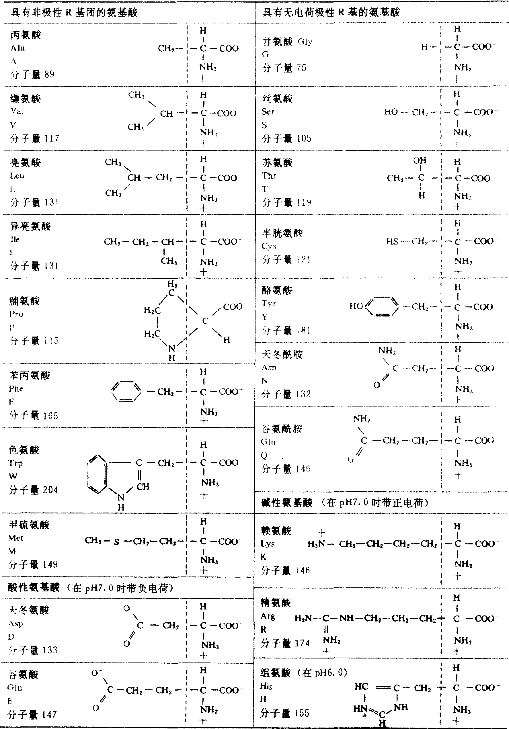 20种氨基酸结构式图片图片