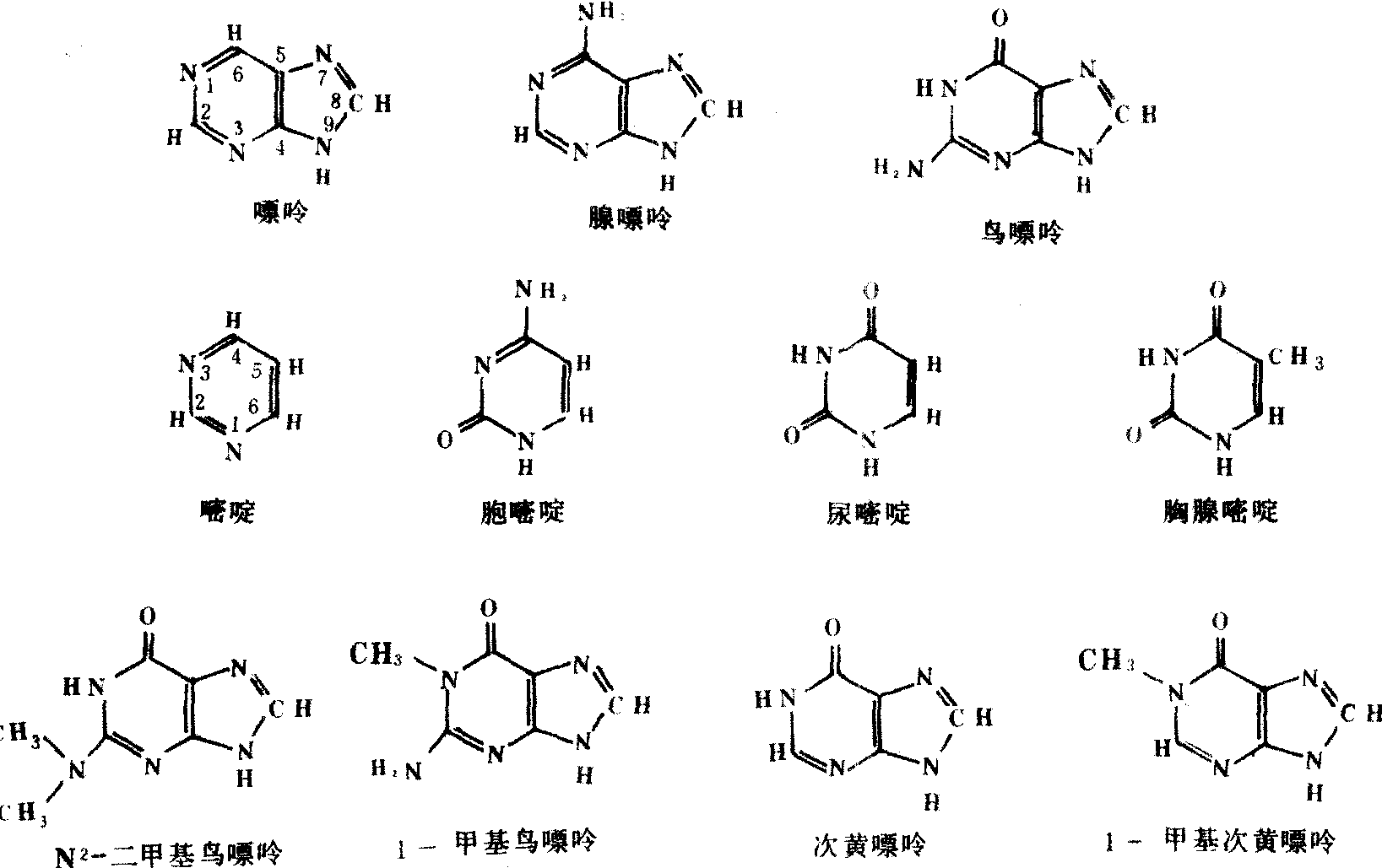 含氮碱基