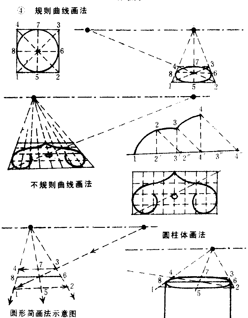 曲线透视