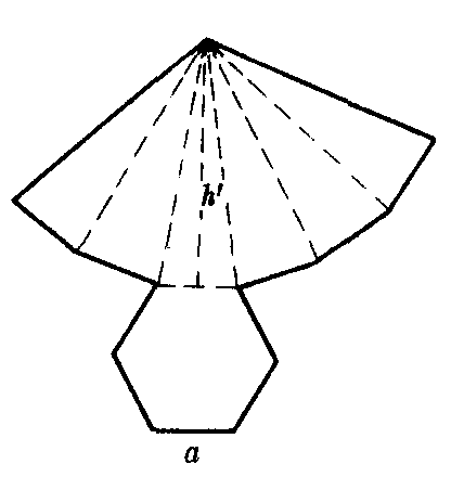 正棱锥的表面展开图