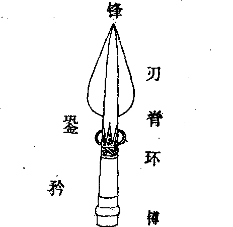 矛的演变过程图片图片