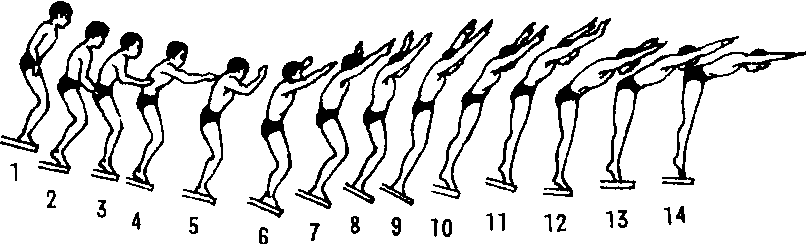 第七节跳跃运动图片