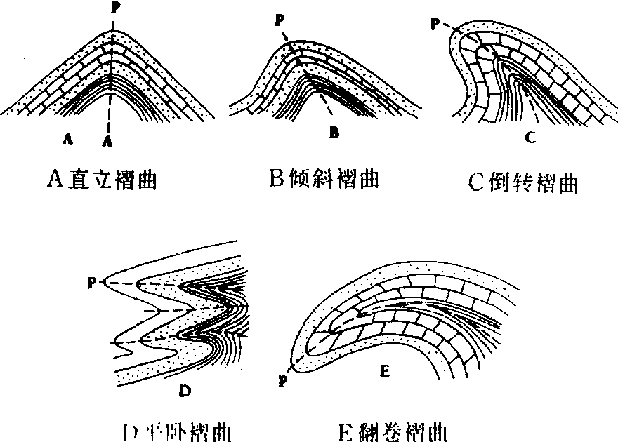 褶皱示意图简图图片