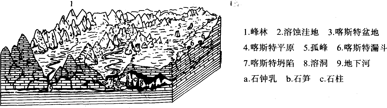 地表喀斯特地貌类型