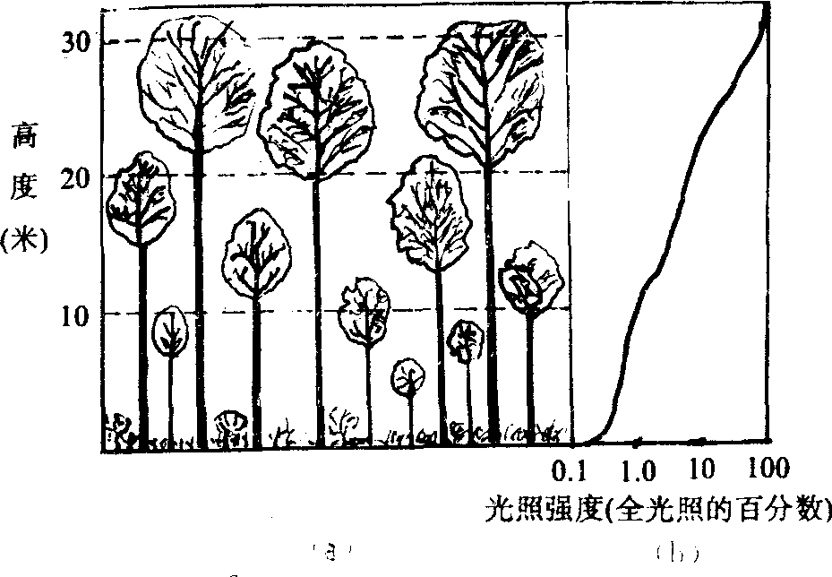 成层现象