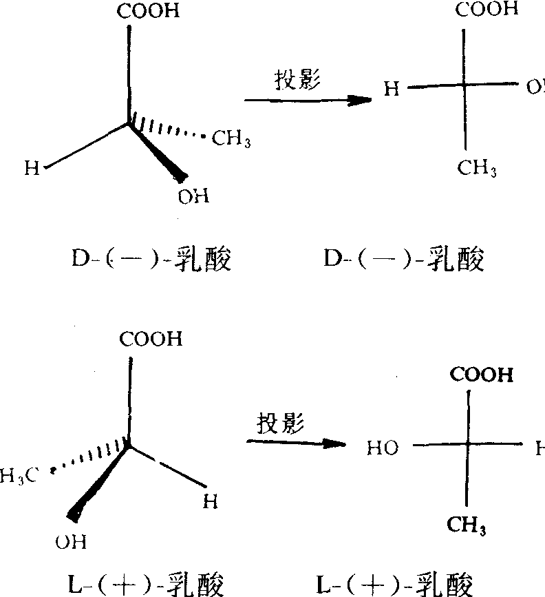 费歇尔投影式